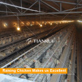 Hot Sale A Type Layer Poultry Battery Cages for Algeria Chicken Farm